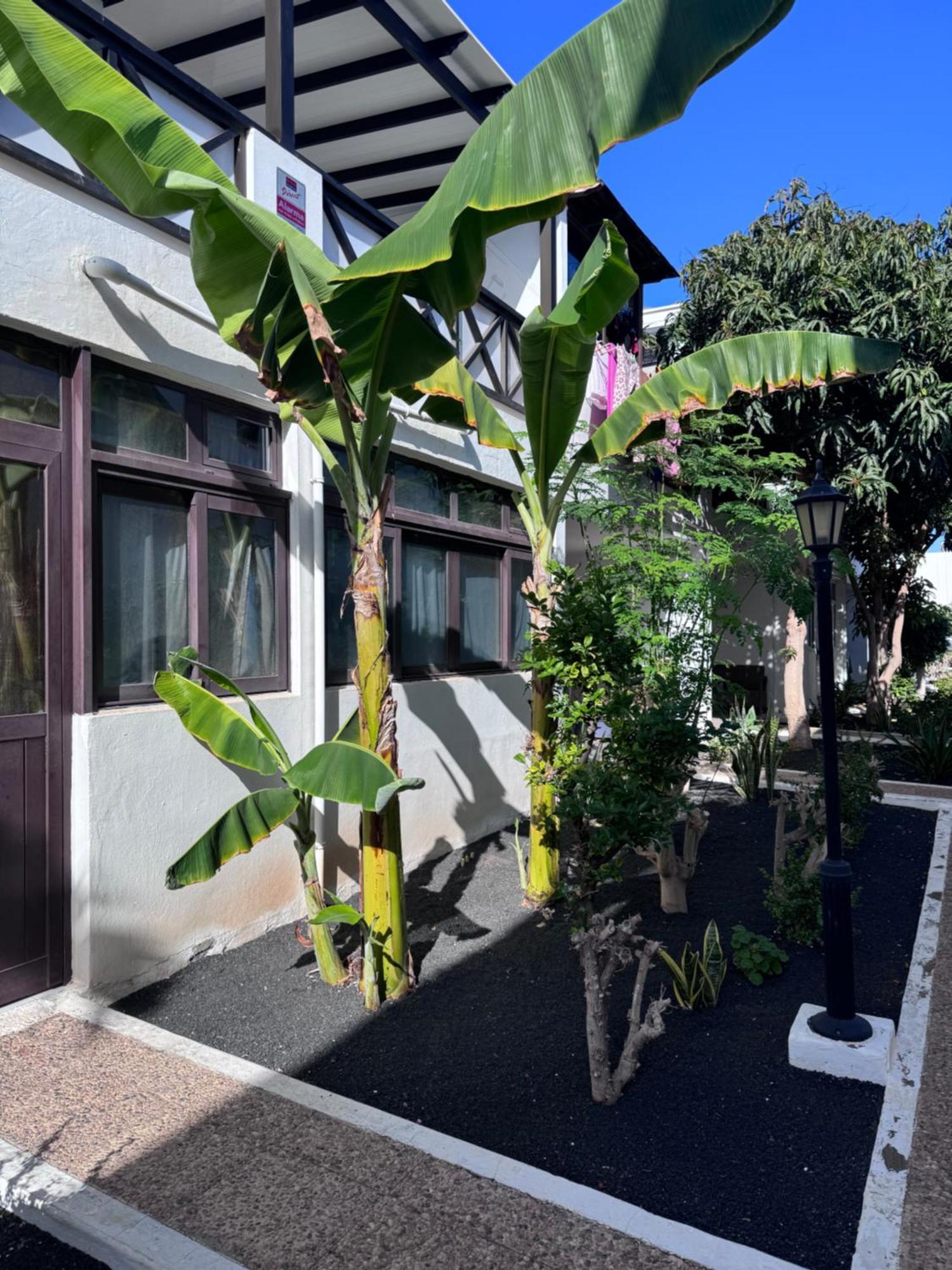 Casa Ana Puerto Del Carmen Apartment Tias Ngoại thất bức ảnh